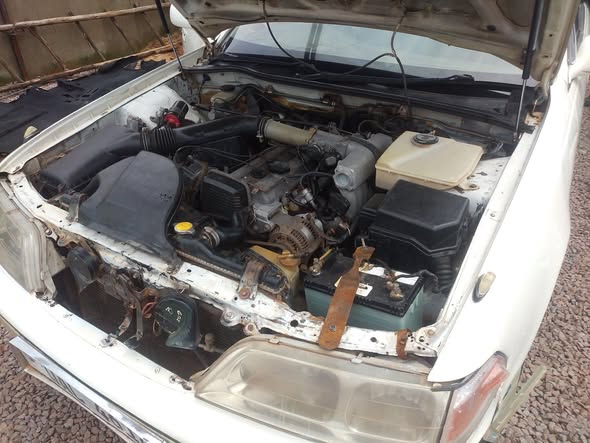 A picture of Mark 2