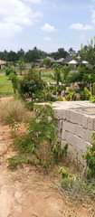 A picture of Kiwanja kinauzwa