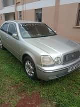 Elepo R.