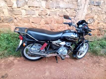tvs hlx