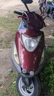 A picture of Honda pasola