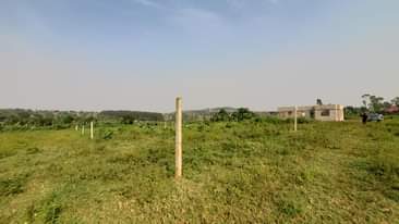 A picture of 50 100 plots available in nabusugwe via kitukutwe.