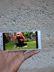 A picture of Sony xperia xz2 compact 0687567155