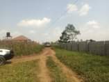 A picture of 18 5m Plots on sale located at matugga kigogwa bombo