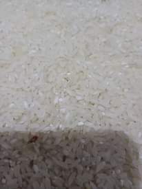 A picture of Super rice