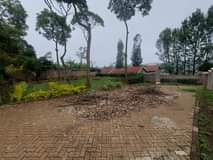 Mugo J.