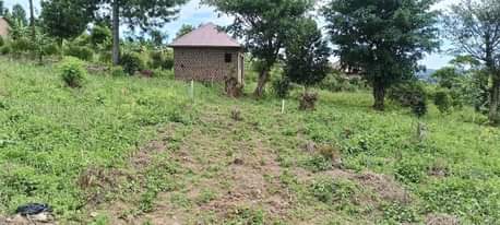 A picture of PLOTS LOCATED WAKISO KAKIRI LUWANO