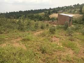 A picture of 4m get your Plot 56by32m matugga migadde 2km off main