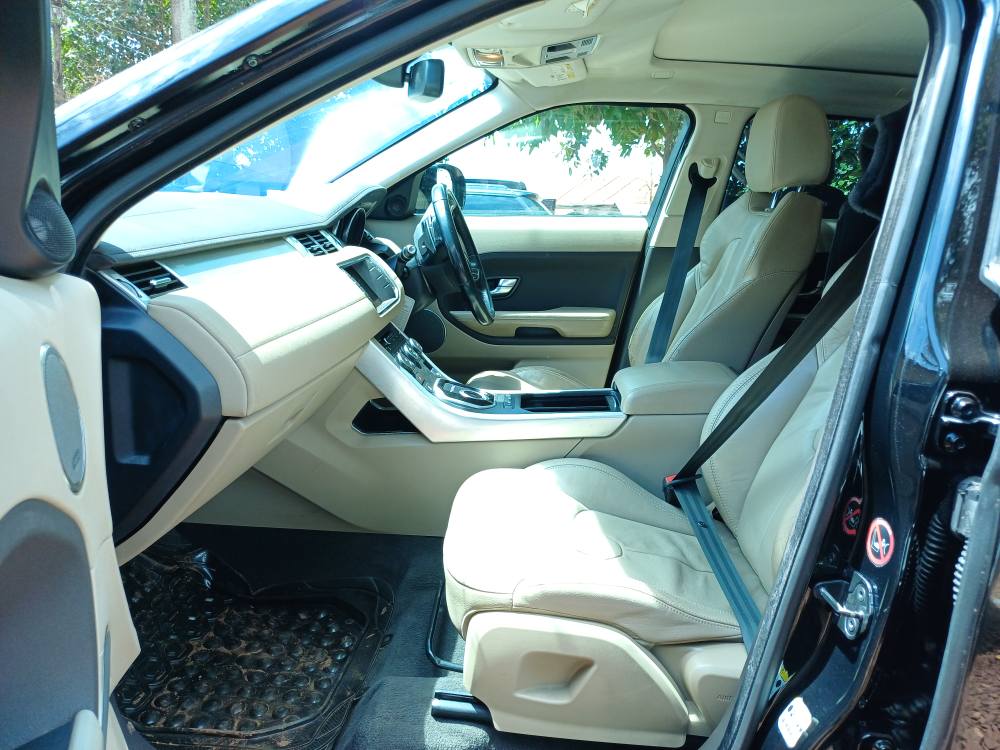 A picture of EVOQUE