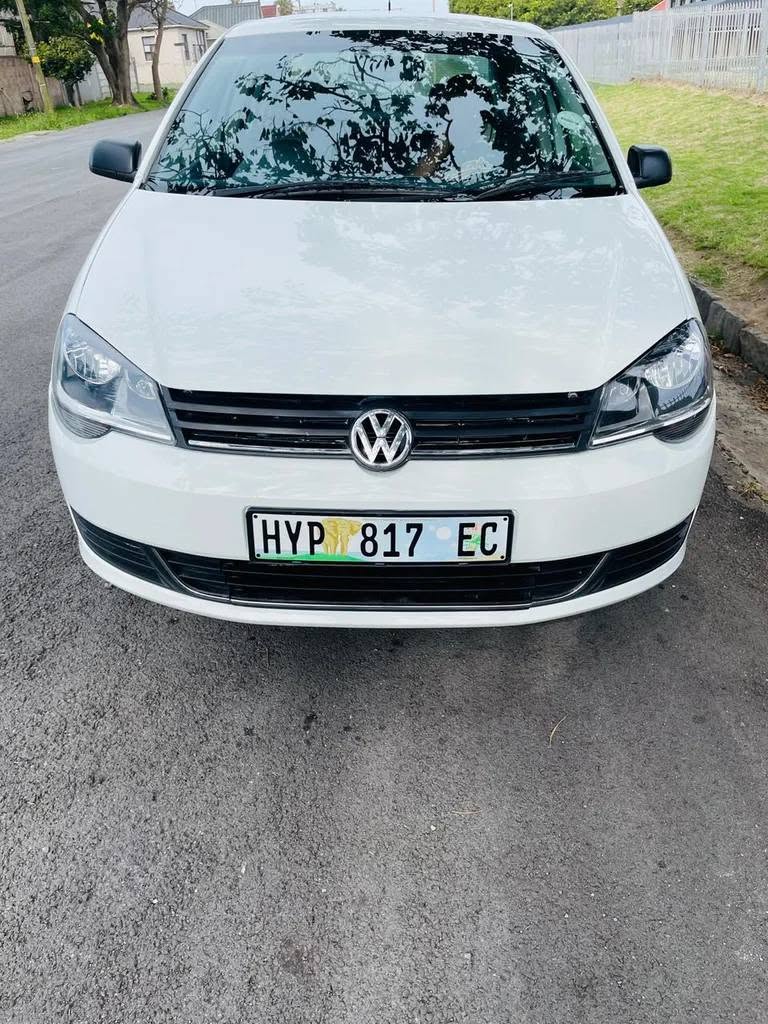 polo vivo
