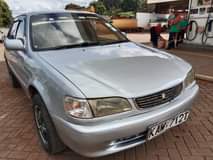 Gakuru K.