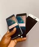 A picture of Kyocera Digno