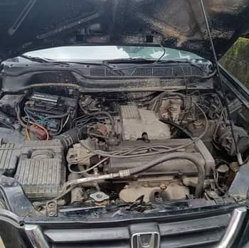 A picture of Crv