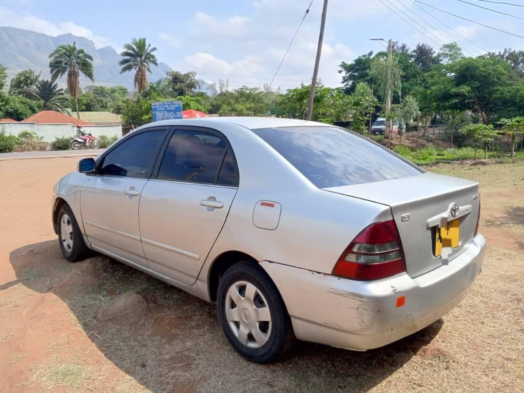 used toyota corolla