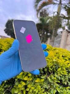 A picture of Apple iPhone 12promax