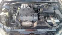 A picture of 2003 Big Daddy 2003 Big Daddy