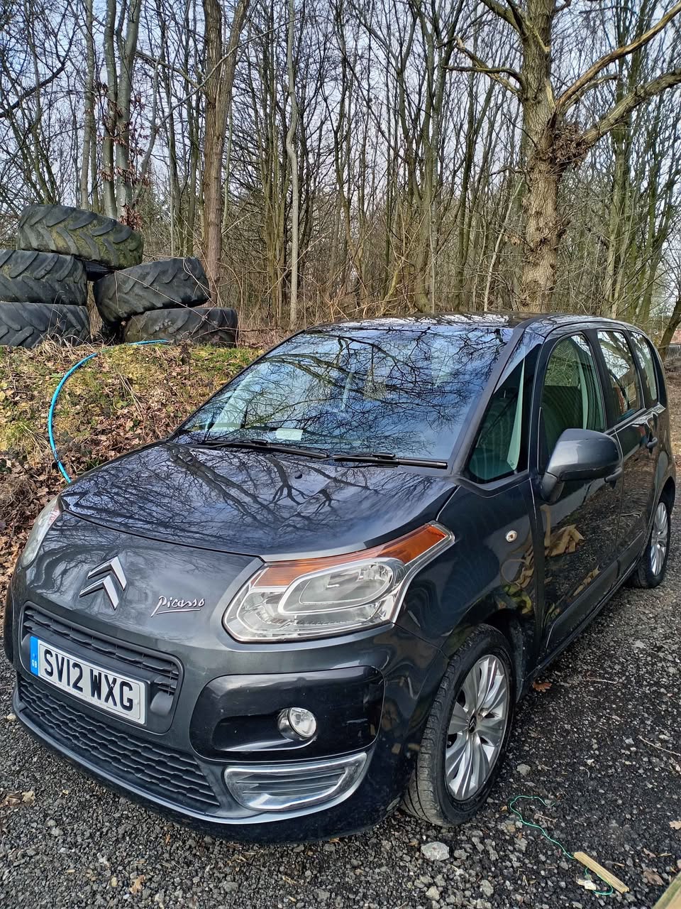 citroen picasso