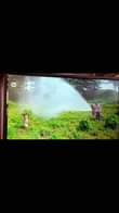 A picture of Irrigation system