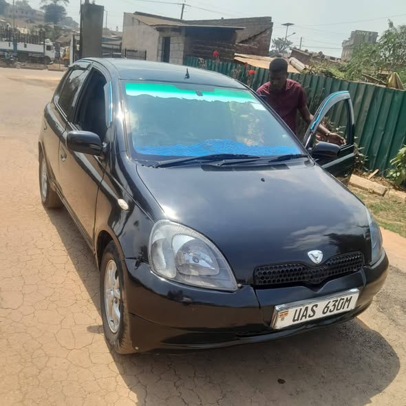 A picture of Vitz