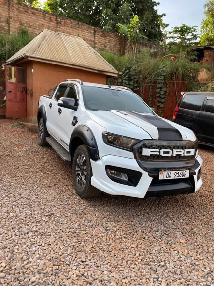A picture of 2016 Ford