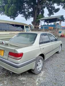 A picture of Carina SI mil 3 5