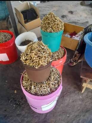 A picture of Dagaa watamu wa mwanza kuanzia 1000