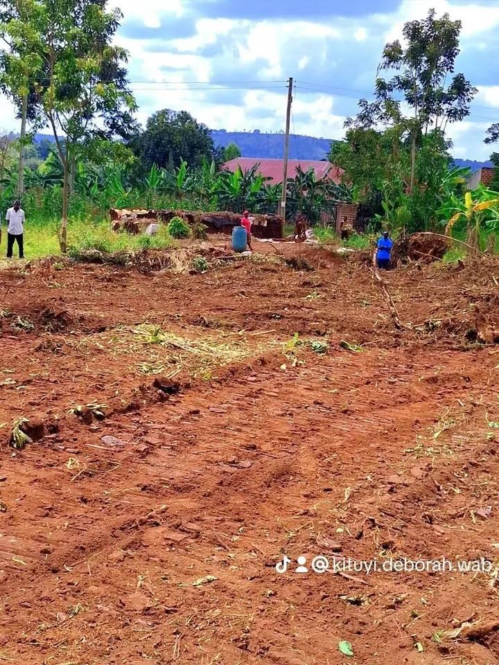 A picture of LIMITED PLOTS UNLIMITED POTENTIAL 
