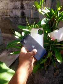 A picture of Iphone 11 plain