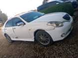 A picture of Starlet verrosa