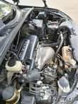 A picture of Harrier