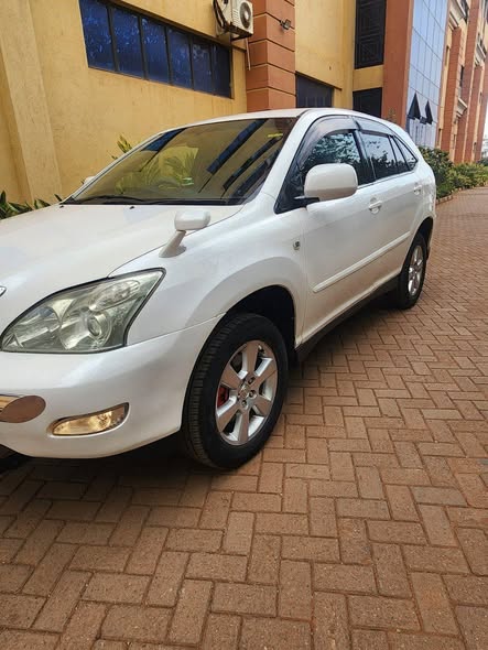 A picture of Harrier kawundo