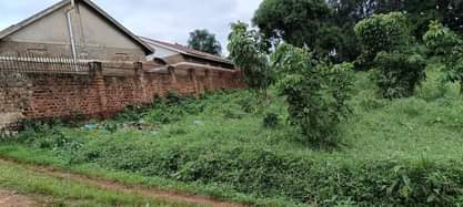 A picture of 50 decimals of land for sale in Kawempe Tula opposite