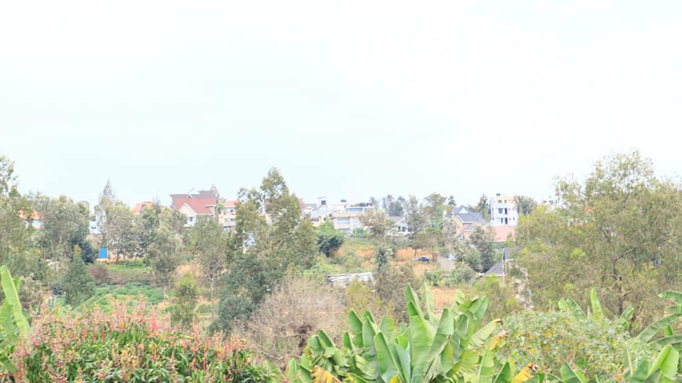 A picture of Plots for sale in Thika road Ruiru