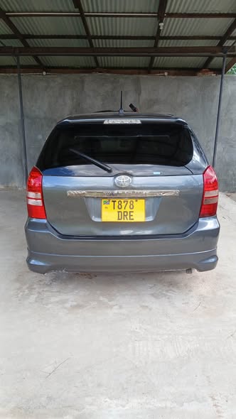 A picture of WISH 0672210608