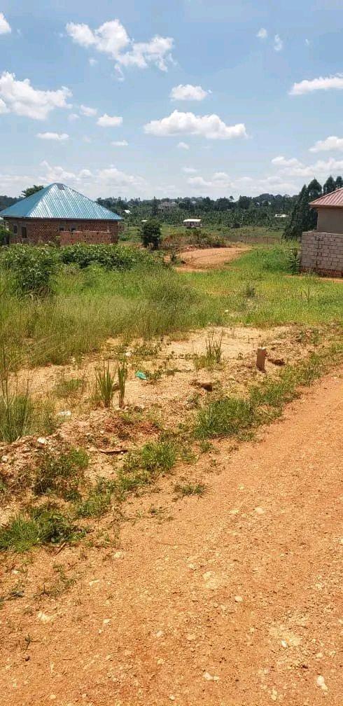 plots mukono