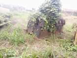 A picture of Scrap for sale Price 208m Settlement 5 Location Uyo Nigeria