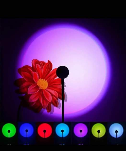 projector