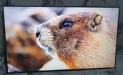 A picture of Tcl Android inch 65 Tsh 1 500 000
