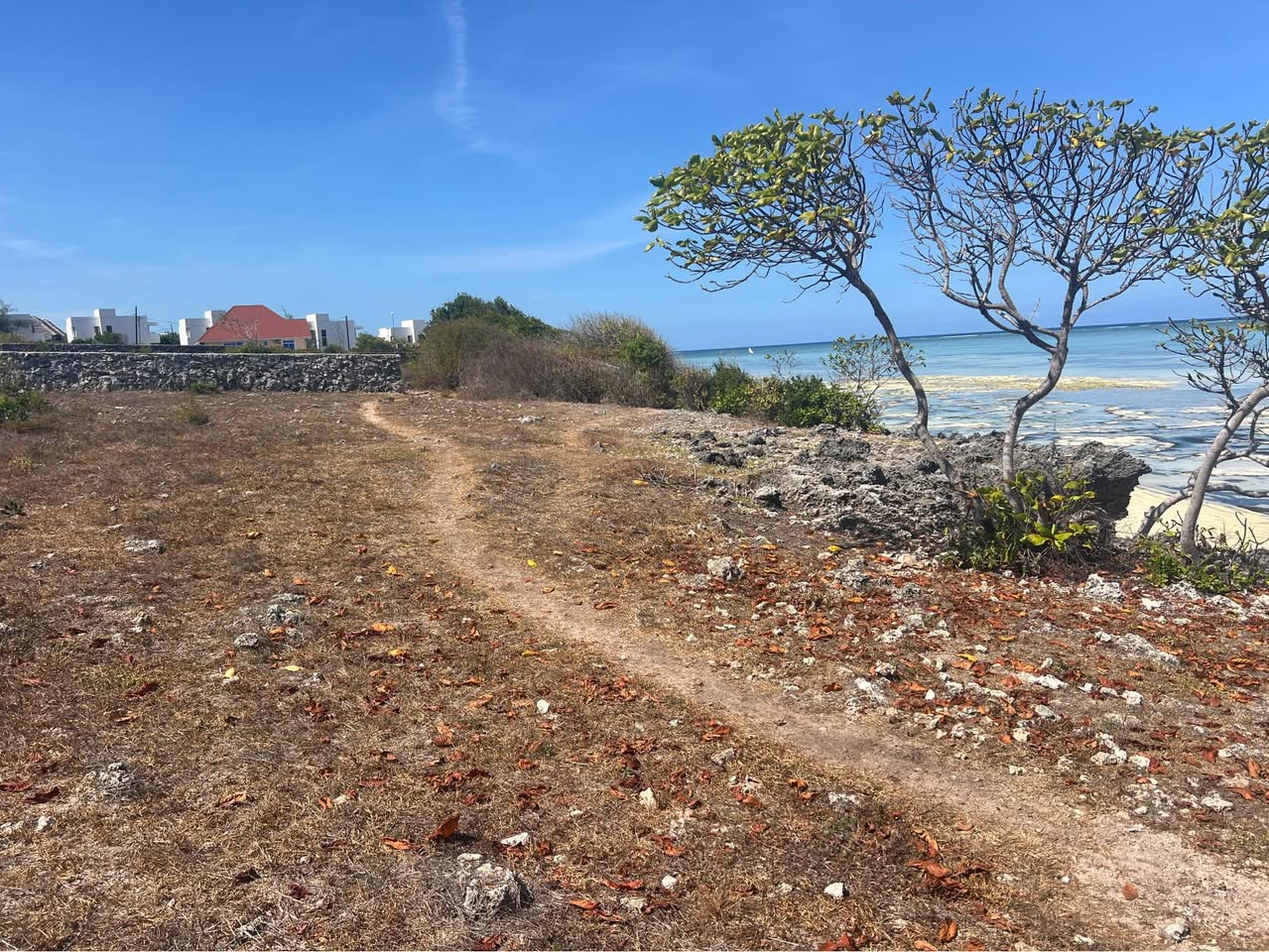 A picture of A beachfront plot on the cliff is available for sale