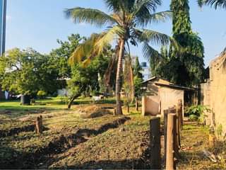 A picture of Eneo Linauzwa