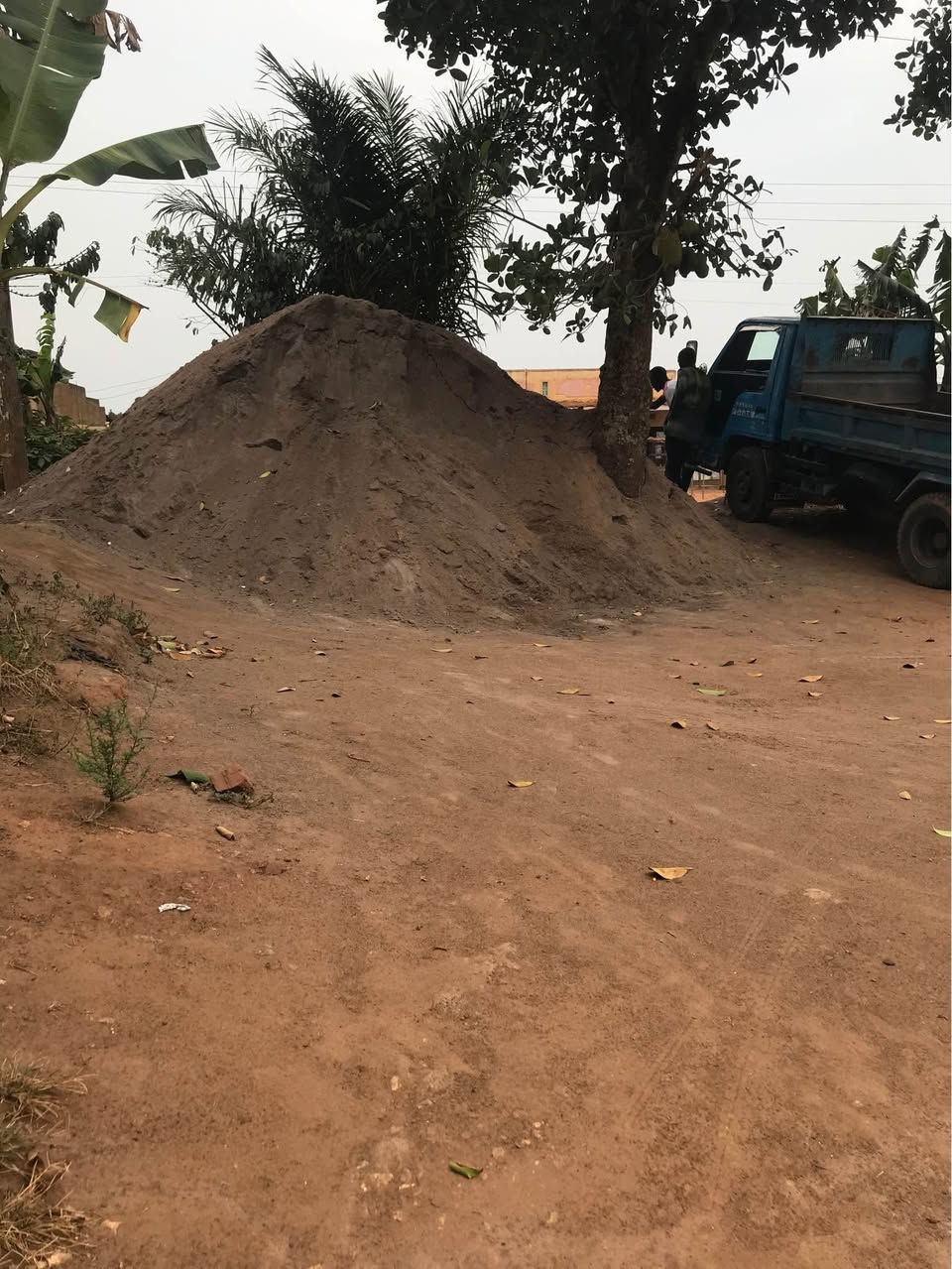 A picture of Plot for rentals for sale