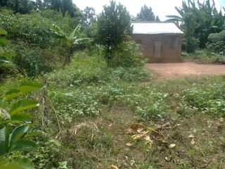 A picture of 100 100ft WITH 2 ROOMS HOUSE FOR SALE