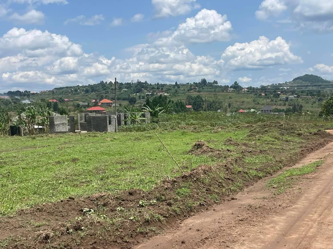A picture of PRIME ESTATE LOCATED BUJJUKO MITYANA ROAD