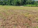 A picture of Mukono kalaji town plots on quick sale