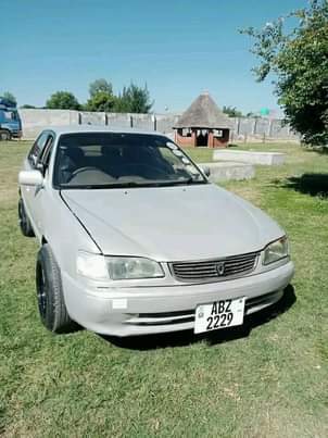zed cars_under_20pin
