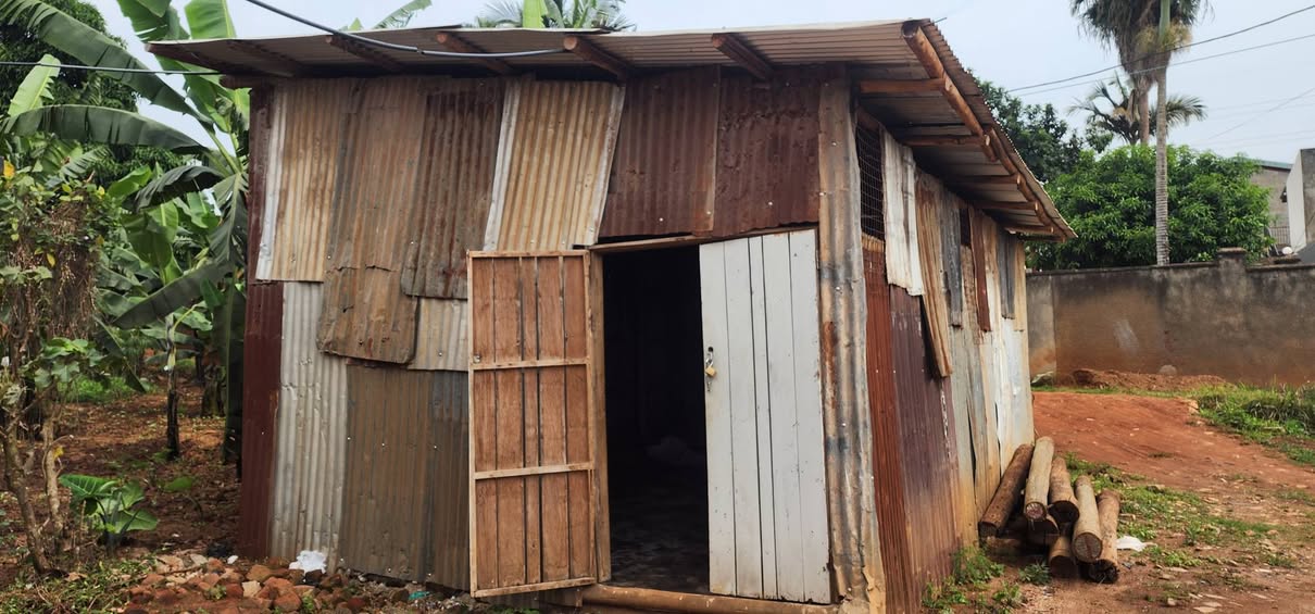 A picture of Chicken farm for hire