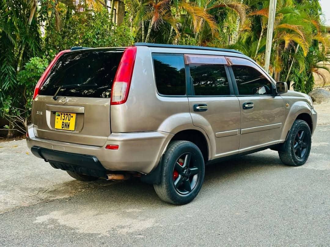 A picture of Nissan Xterra