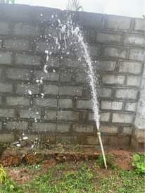 A picture of Fresh water