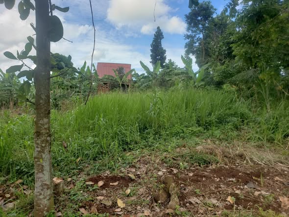 A picture of Plot 40ft by 30ft