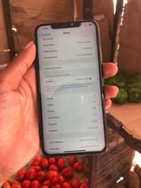 A picture of iphone x max